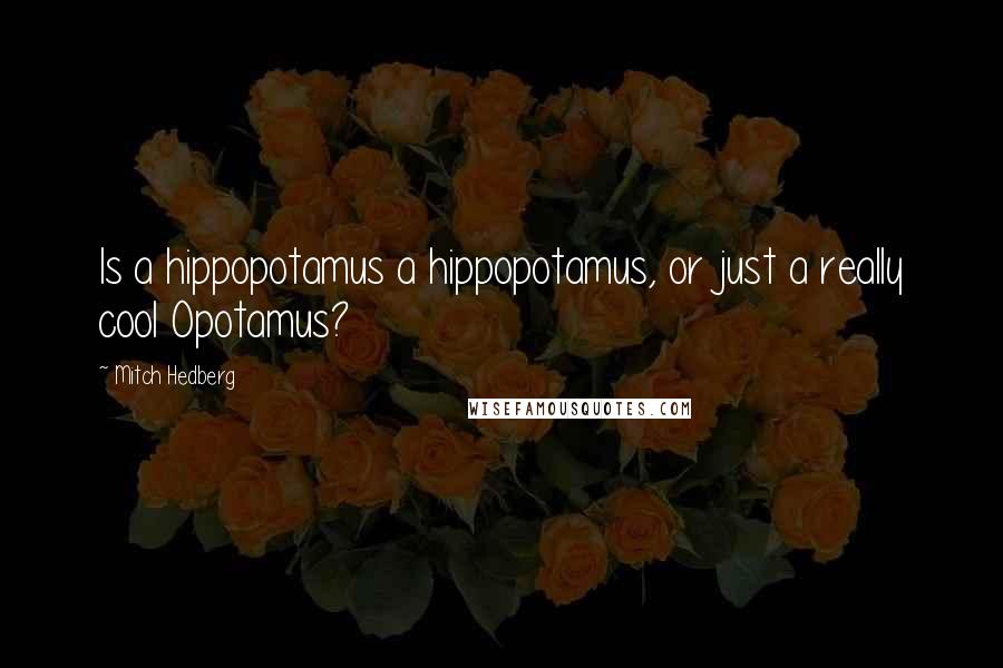 Mitch Hedberg Quotes: Is a hippopotamus a hippopotamus, or just a really cool Opotamus?