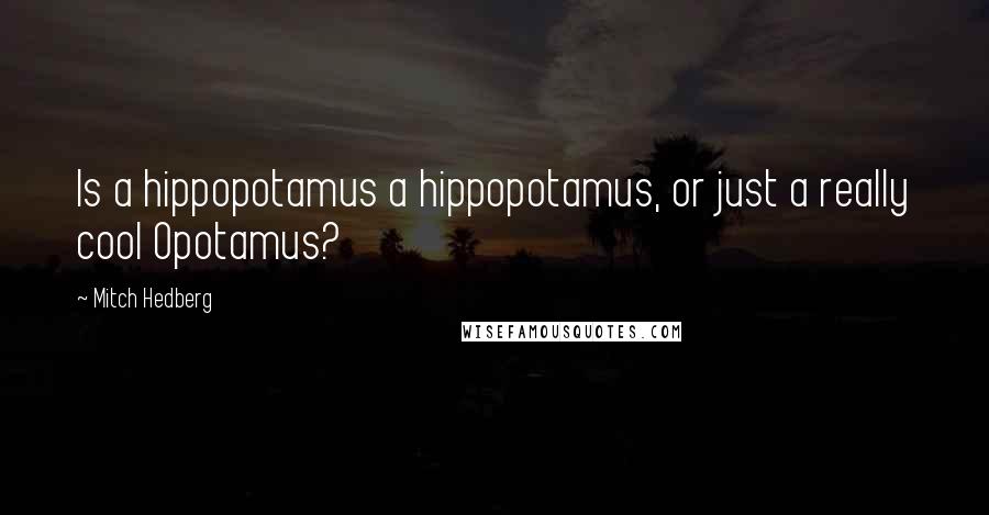 Mitch Hedberg Quotes: Is a hippopotamus a hippopotamus, or just a really cool Opotamus?