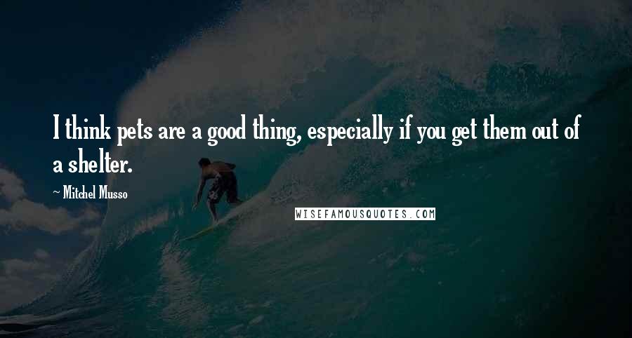 Mitchel Musso Quotes: I think pets are a good thing, especially if you get them out of a shelter.