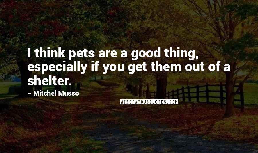 Mitchel Musso Quotes: I think pets are a good thing, especially if you get them out of a shelter.