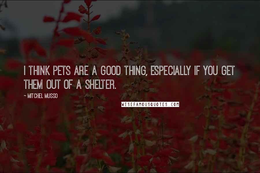 Mitchel Musso Quotes: I think pets are a good thing, especially if you get them out of a shelter.