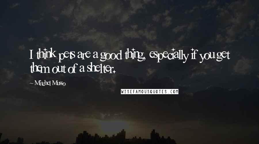 Mitchel Musso Quotes: I think pets are a good thing, especially if you get them out of a shelter.