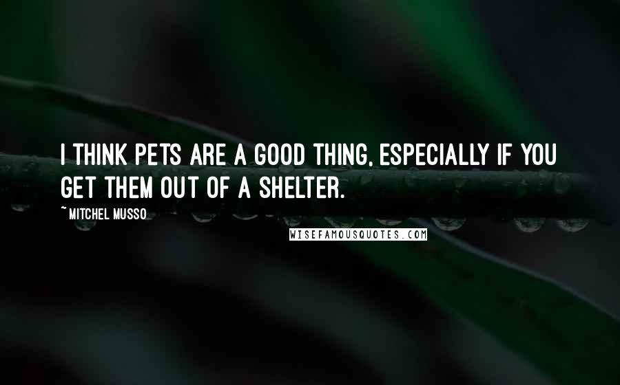 Mitchel Musso Quotes: I think pets are a good thing, especially if you get them out of a shelter.