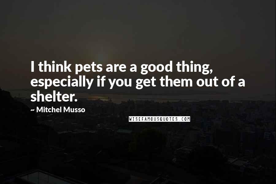 Mitchel Musso Quotes: I think pets are a good thing, especially if you get them out of a shelter.