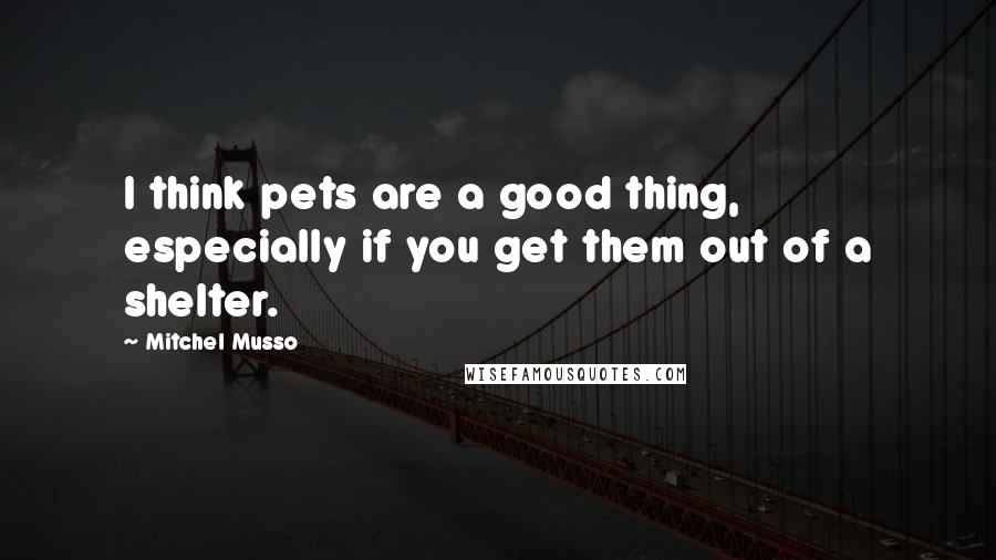 Mitchel Musso Quotes: I think pets are a good thing, especially if you get them out of a shelter.