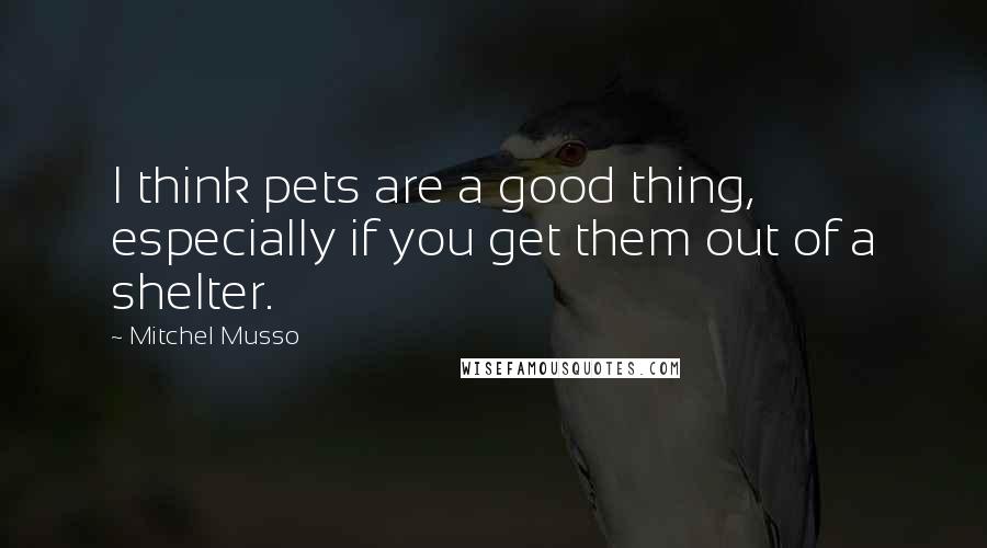 Mitchel Musso Quotes: I think pets are a good thing, especially if you get them out of a shelter.