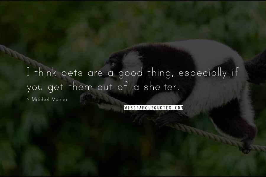 Mitchel Musso Quotes: I think pets are a good thing, especially if you get them out of a shelter.