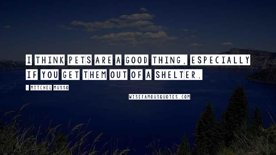 Mitchel Musso Quotes: I think pets are a good thing, especially if you get them out of a shelter.