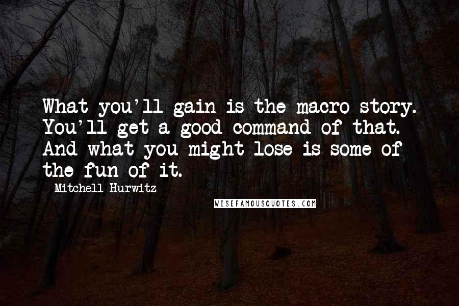 Mitchell Hurwitz Quotes: What you'll gain is the macro story. You'll get a good command of that. And what you might lose is some of the fun of it.