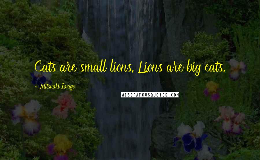 Mitsuaki Iwago Quotes: Cats are small lions. Lions are big cats.