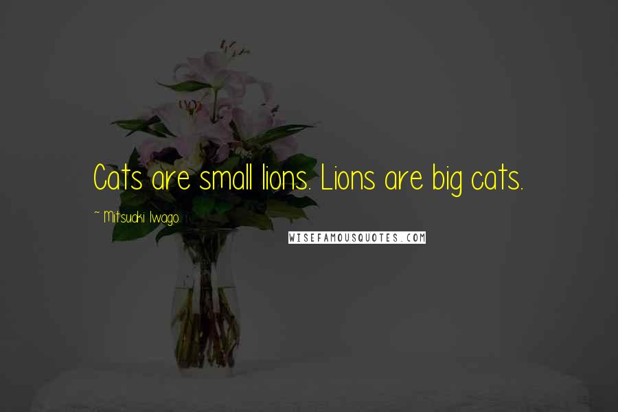 Mitsuaki Iwago Quotes: Cats are small lions. Lions are big cats.