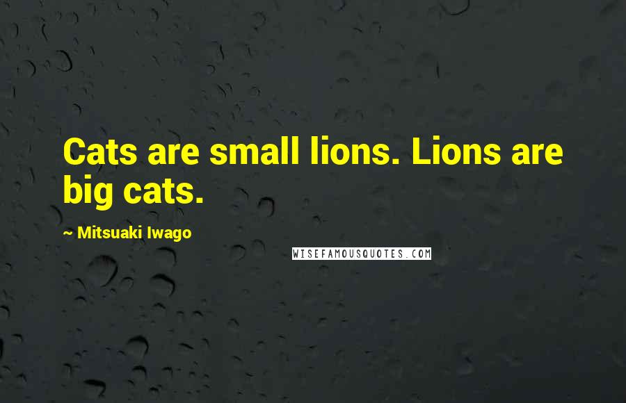 Mitsuaki Iwago Quotes: Cats are small lions. Lions are big cats.