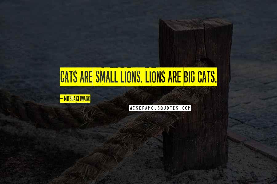 Mitsuaki Iwago Quotes: Cats are small lions. Lions are big cats.