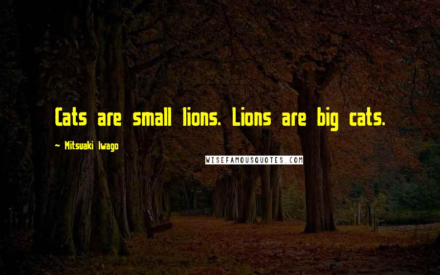 Mitsuaki Iwago Quotes: Cats are small lions. Lions are big cats.