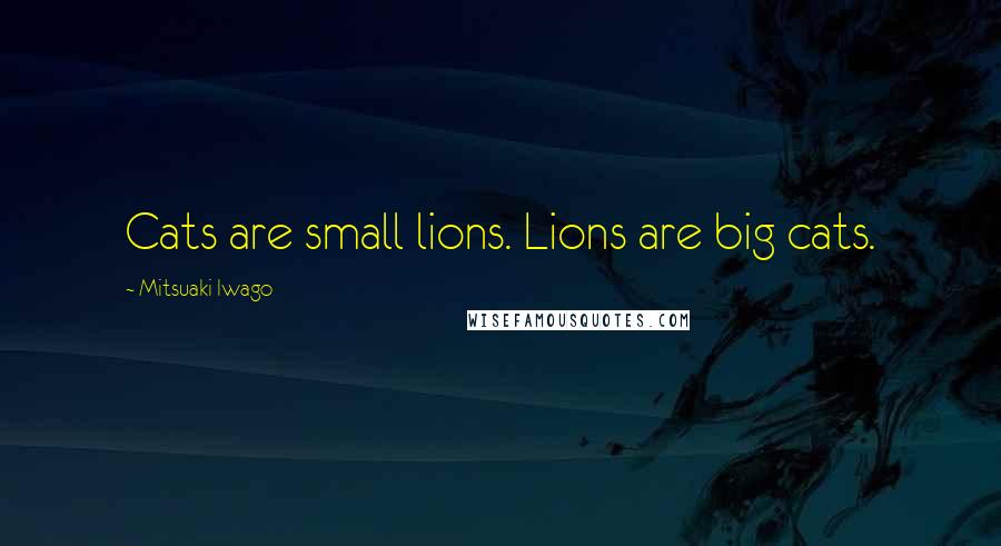 Mitsuaki Iwago Quotes: Cats are small lions. Lions are big cats.