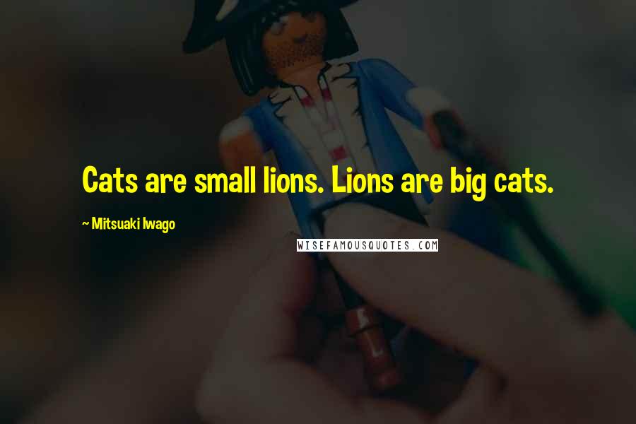 Mitsuaki Iwago Quotes: Cats are small lions. Lions are big cats.
