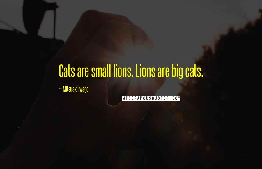 Mitsuaki Iwago Quotes: Cats are small lions. Lions are big cats.