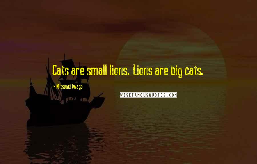 Mitsuaki Iwago Quotes: Cats are small lions. Lions are big cats.