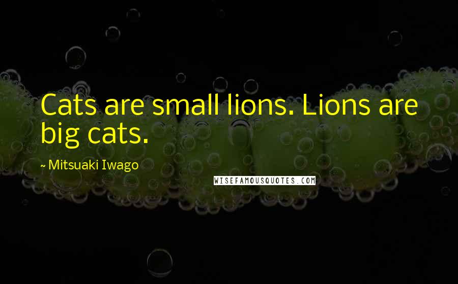 Mitsuaki Iwago Quotes: Cats are small lions. Lions are big cats.