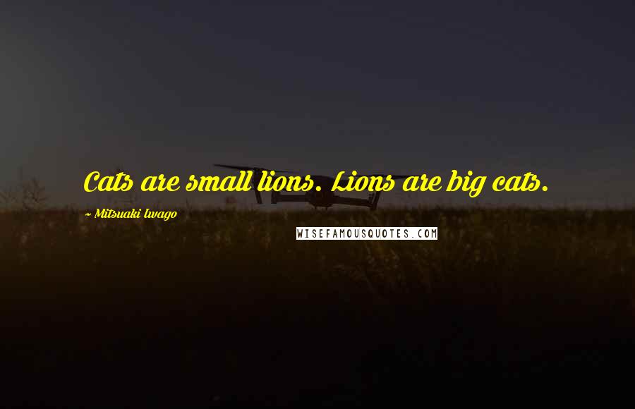 Mitsuaki Iwago Quotes: Cats are small lions. Lions are big cats.