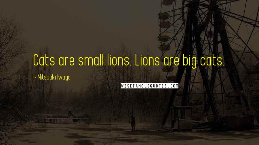 Mitsuaki Iwago Quotes: Cats are small lions. Lions are big cats.