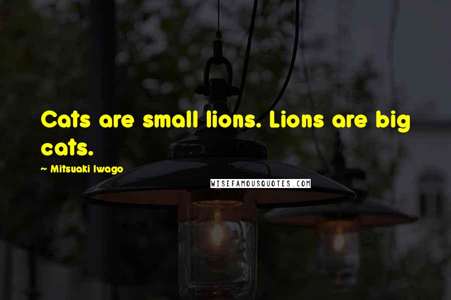 Mitsuaki Iwago Quotes: Cats are small lions. Lions are big cats.