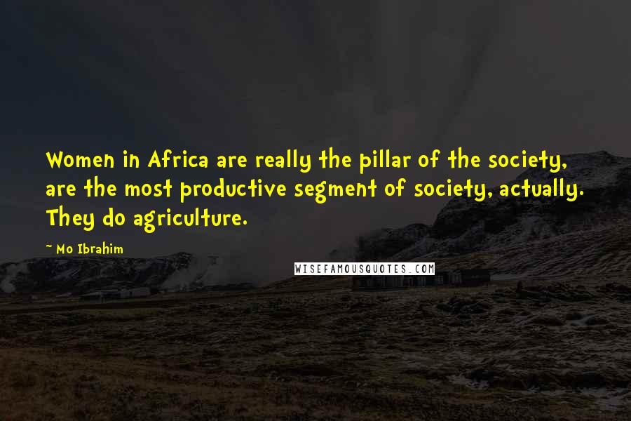 Mo Ibrahim Quotes: Women in Africa are really the pillar of the society, are the most productive segment of society, actually. They do agriculture.