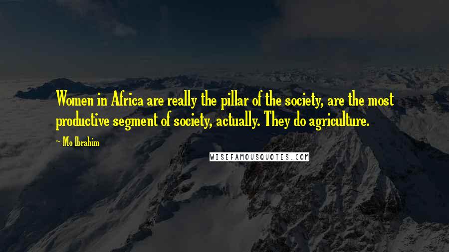 Mo Ibrahim Quotes: Women in Africa are really the pillar of the society, are the most productive segment of society, actually. They do agriculture.