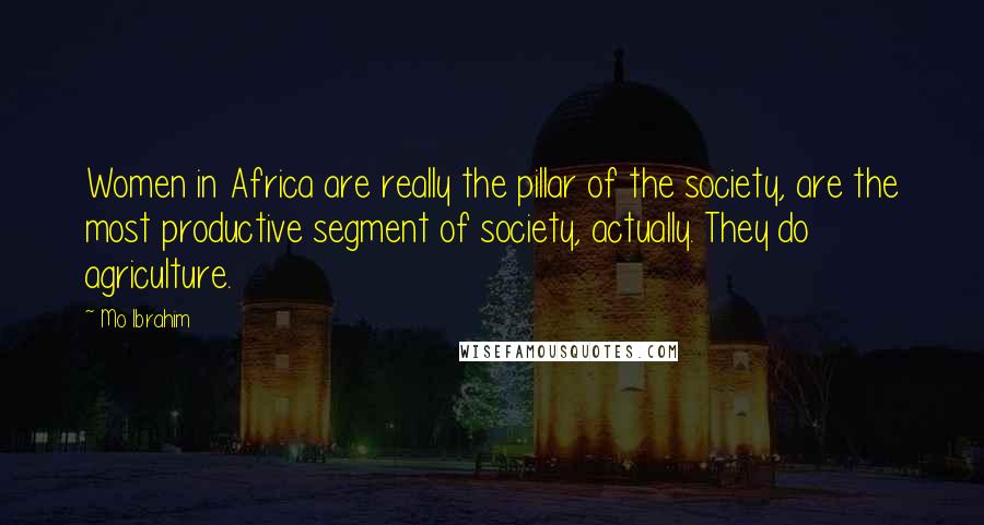 Mo Ibrahim Quotes: Women in Africa are really the pillar of the society, are the most productive segment of society, actually. They do agriculture.