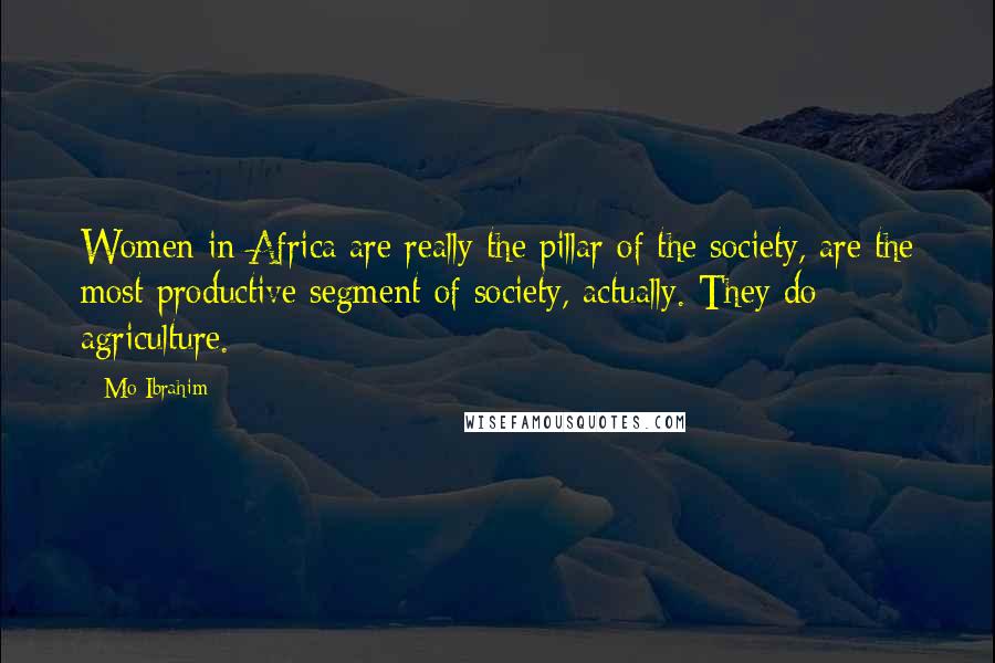 Mo Ibrahim Quotes: Women in Africa are really the pillar of the society, are the most productive segment of society, actually. They do agriculture.