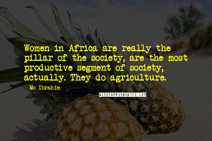 Mo Ibrahim Quotes: Women in Africa are really the pillar of the society, are the most productive segment of society, actually. They do agriculture.