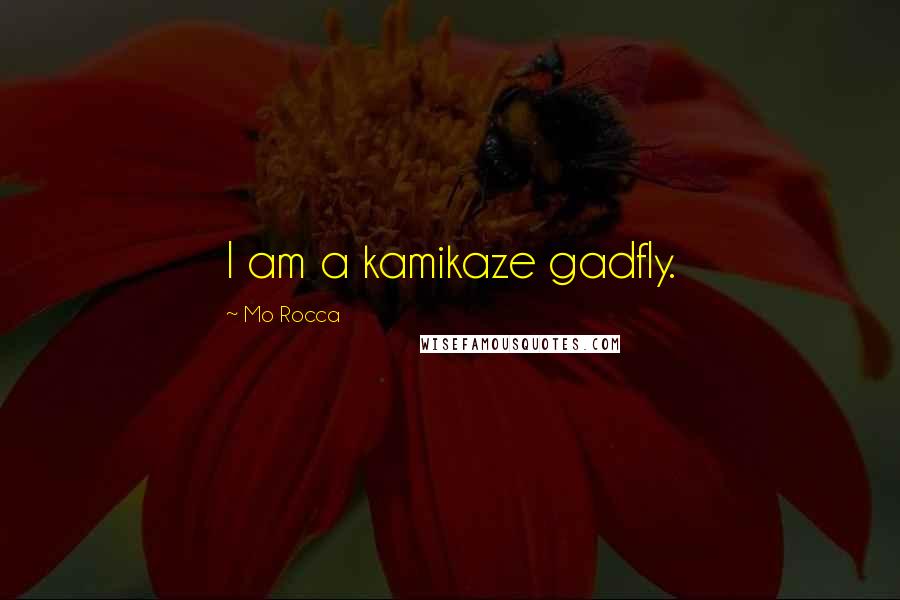 Mo Rocca Quotes: I am a kamikaze gadfly.