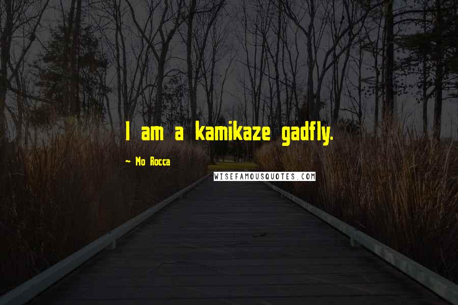 Mo Rocca Quotes: I am a kamikaze gadfly.