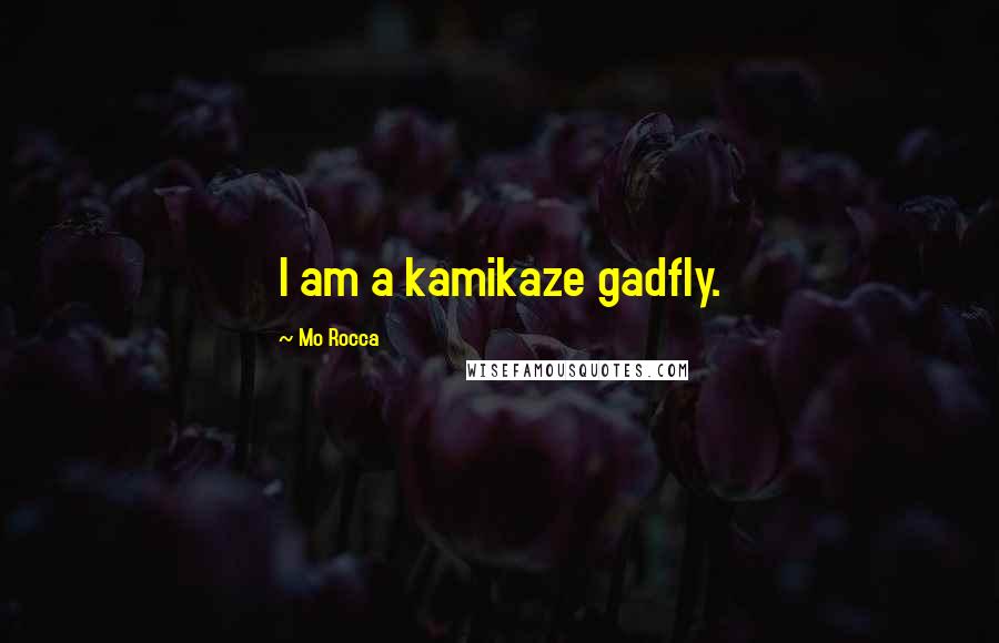 Mo Rocca Quotes: I am a kamikaze gadfly.