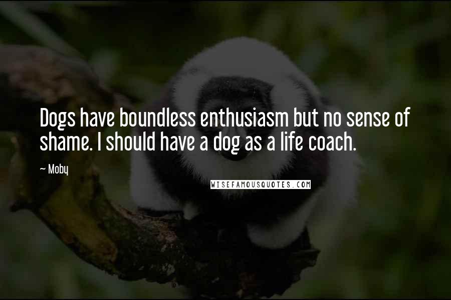 Moby Quotes: Dogs have boundless enthusiasm but no sense of shame. I should have a dog as a life coach.