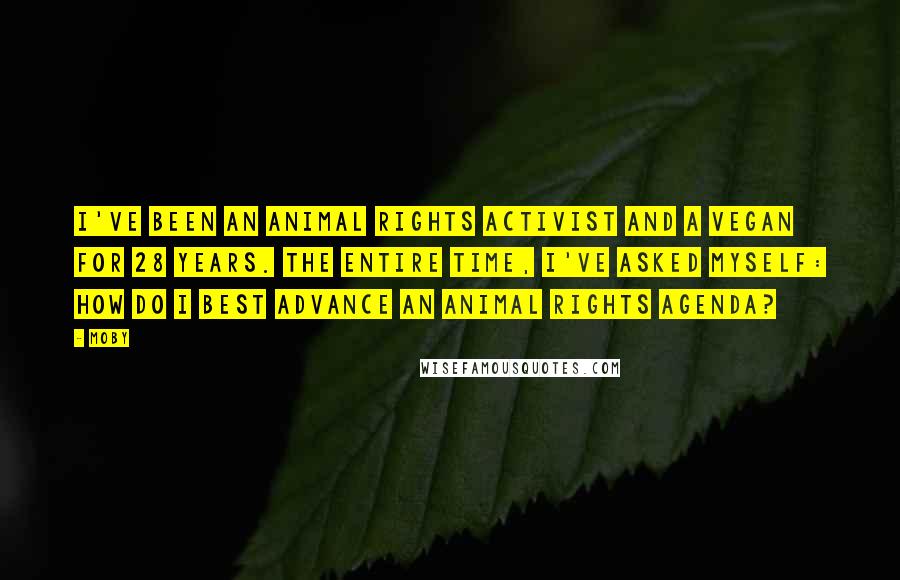 Moby Quotes: I've been an animal rights activist and a vegan for 28 years. The entire time, I've asked myself: How do I best advance an animal rights agenda?