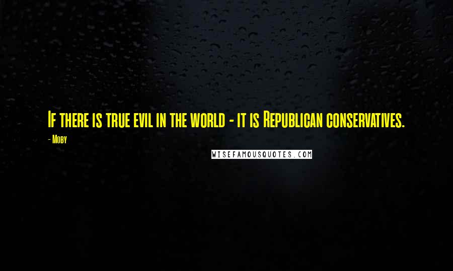 Moby Quotes: If there is true evil in the world - it is Republican conservatives.