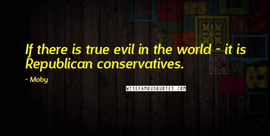 Moby Quotes: If there is true evil in the world - it is Republican conservatives.