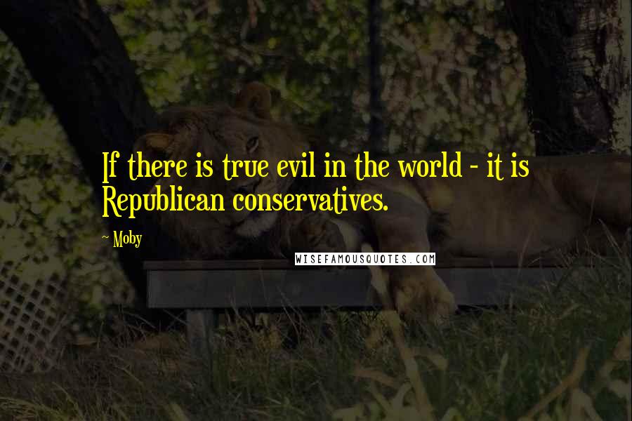 Moby Quotes: If there is true evil in the world - it is Republican conservatives.