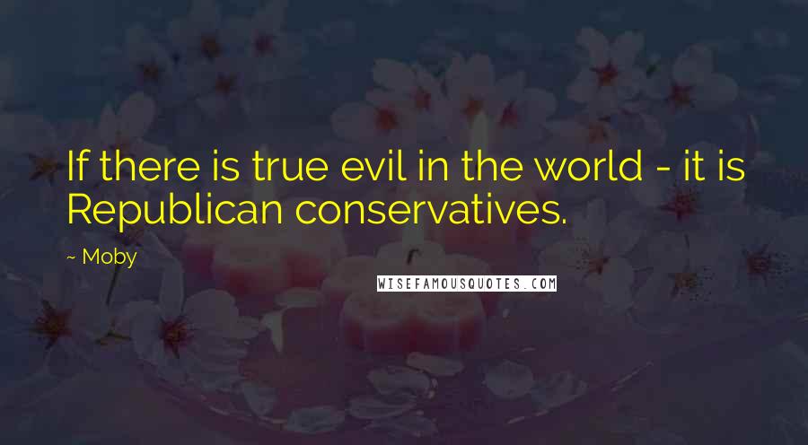 Moby Quotes: If there is true evil in the world - it is Republican conservatives.