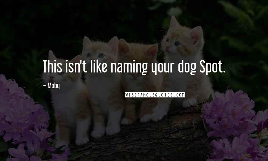 Moby Quotes: This isn't like naming your dog Spot.