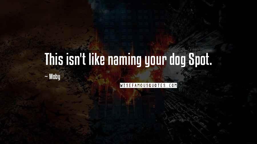Moby Quotes: This isn't like naming your dog Spot.