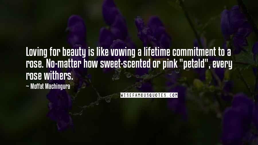 Moffat Machingura Quotes: Loving for beauty is like vowing a lifetime commitment to a rose. No-matter how sweet-scented or pink "petald", every rose withers.