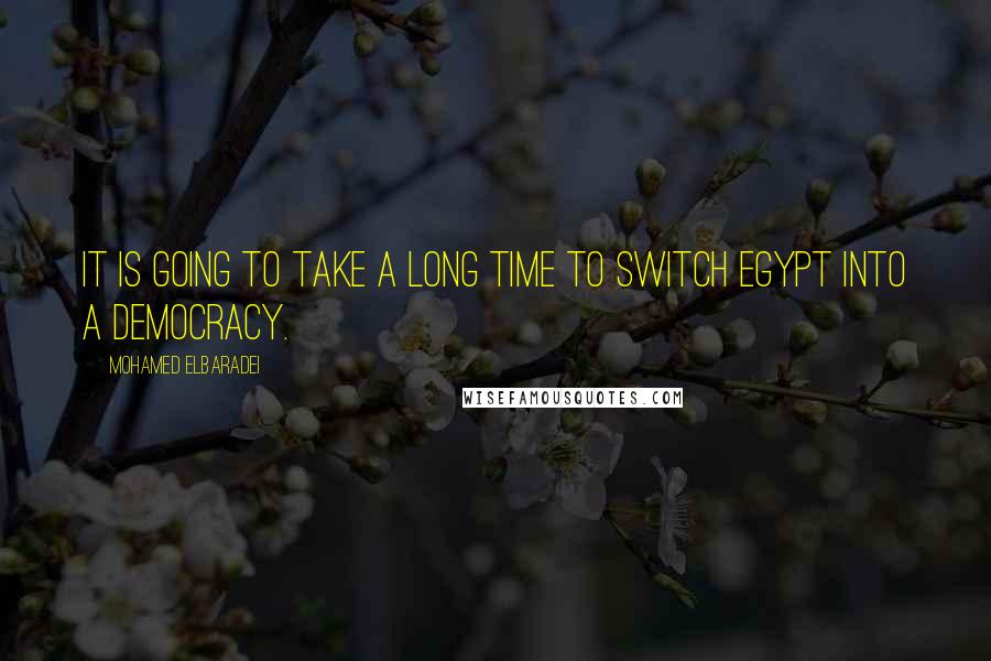 Mohamed ElBaradei Quotes: It is going to take a long time to switch Egypt into a democracy.