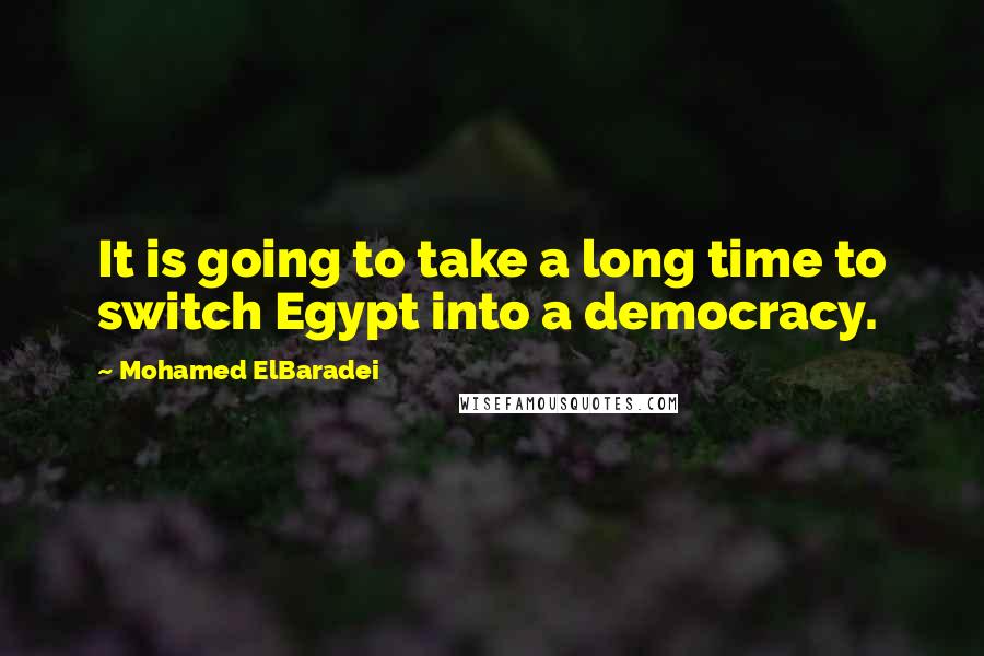 Mohamed ElBaradei Quotes: It is going to take a long time to switch Egypt into a democracy.