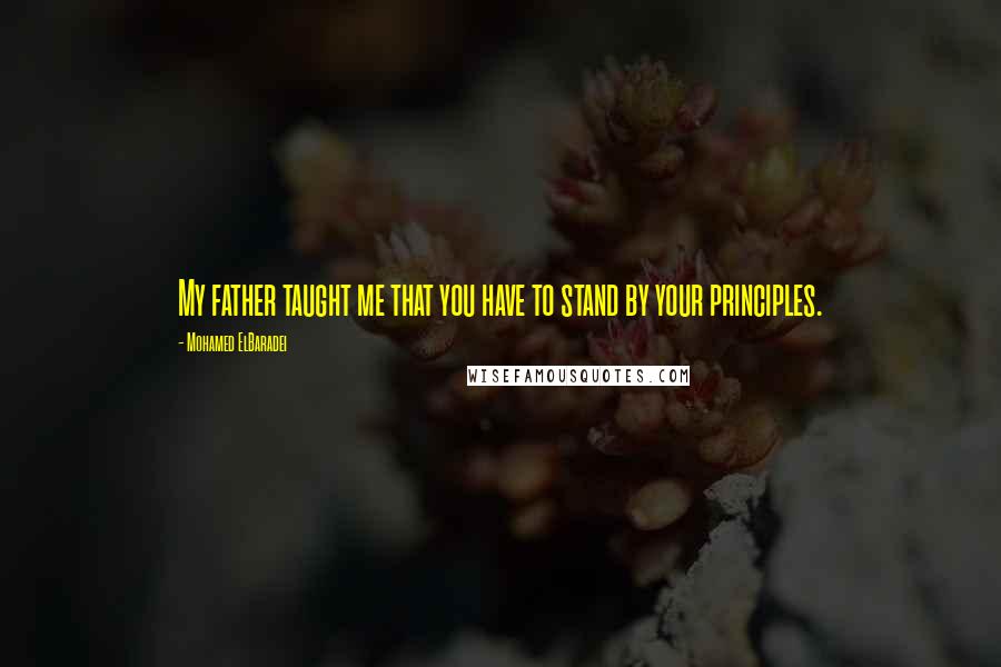 Mohamed ElBaradei Quotes: My father taught me that you have to stand by your principles.