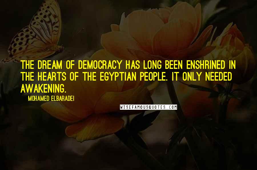 Mohamed ElBaradei Quotes: The dream of democracy has long been enshrined in the hearts of the Egyptian people. It only needed awakening.