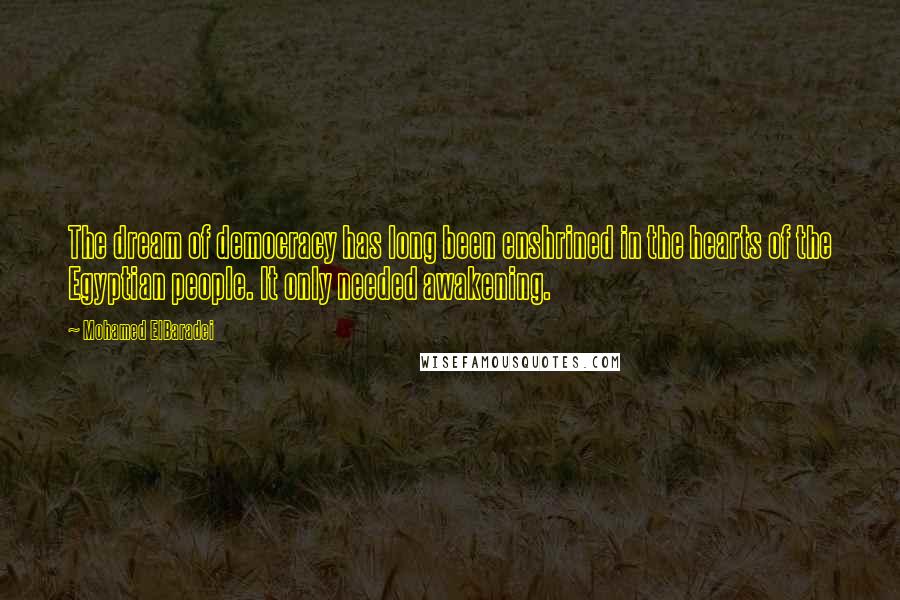 Mohamed ElBaradei Quotes: The dream of democracy has long been enshrined in the hearts of the Egyptian people. It only needed awakening.
