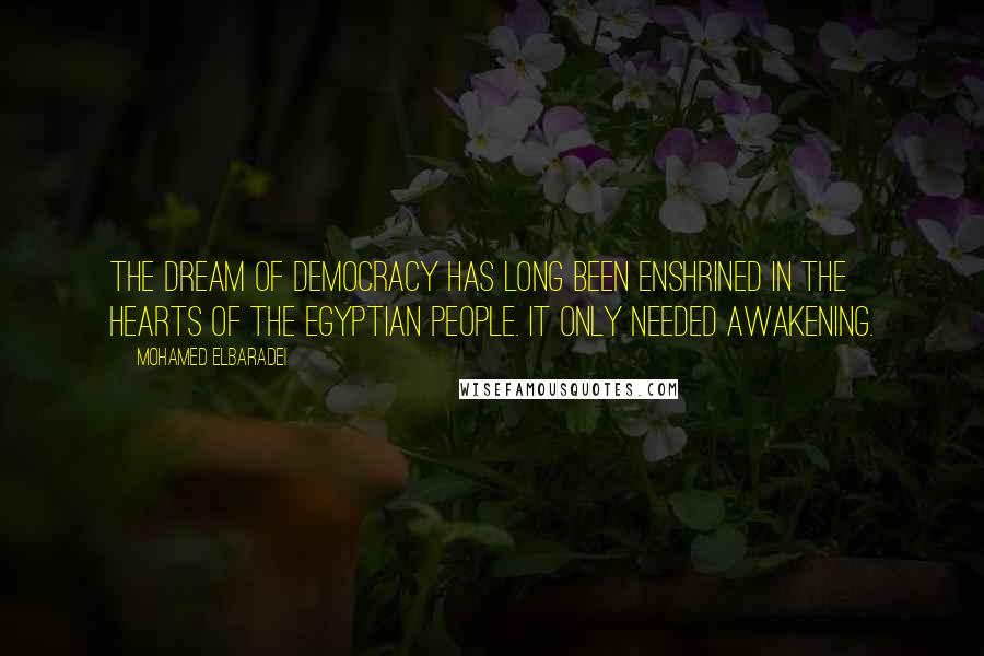 Mohamed ElBaradei Quotes: The dream of democracy has long been enshrined in the hearts of the Egyptian people. It only needed awakening.