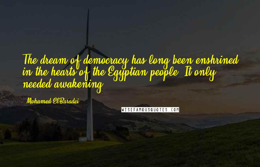 Mohamed ElBaradei Quotes: The dream of democracy has long been enshrined in the hearts of the Egyptian people. It only needed awakening.